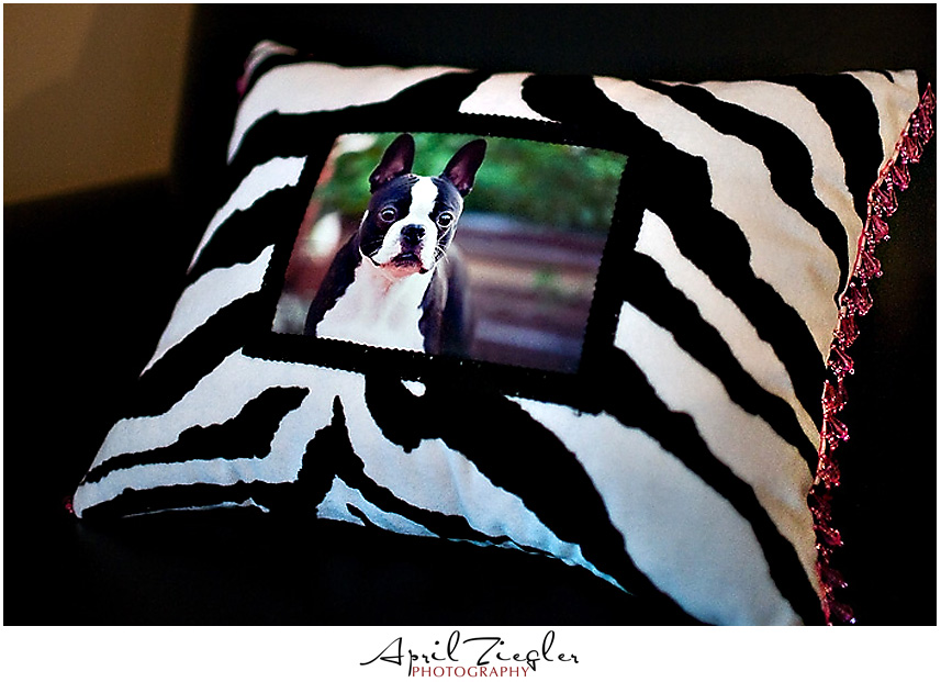 blogchloepillow