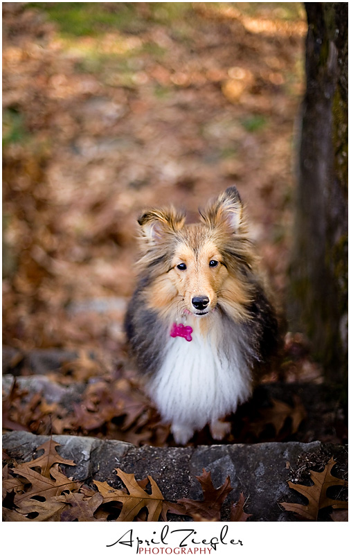 blogmollyleaves