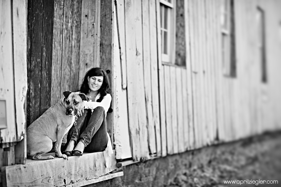main line pet photographer