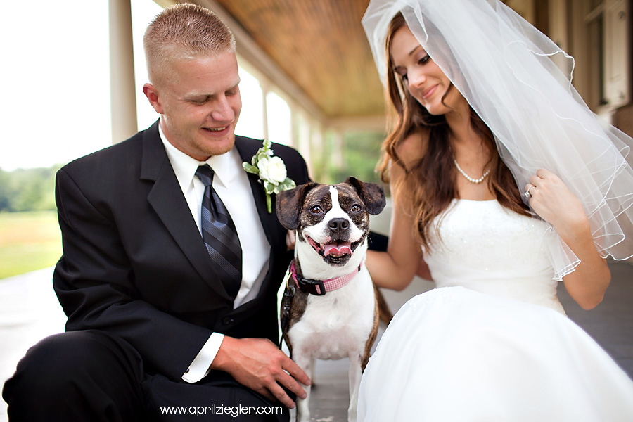 blogwedding